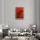 Bamboo Shade on Red I-Christine Zalewski-Framed Premium Giclee Print displayed on a wall