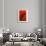 Bamboo Shade on Red I-Christine Zalewski-Framed Premium Giclee Print displayed on a wall