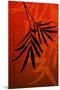 Bamboo Shade on Red I-Christine Zalewski-Mounted Premium Giclee Print