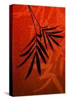 Bamboo Shade on Red I-Christine Zalewski-Stretched Canvas