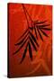 Bamboo Shade on Red I-Christine Zalewski-Stretched Canvas