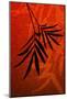Bamboo Shade on Red I-Christine Zalewski-Mounted Art Print