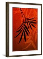 Bamboo Shade on Red I-Christine Zalewski-Framed Art Print