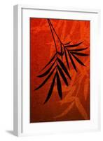 Bamboo Shade on Red I-Christine Zalewski-Framed Art Print