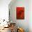 Bamboo Shade on Red I-Christine Zalewski-Mounted Art Print displayed on a wall