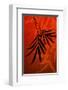 Bamboo Shade on Red I-Christine Zalewski-Framed Art Print