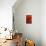 Bamboo Shade on Red I-Christine Zalewski-Mounted Art Print displayed on a wall