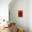 Bamboo Shade on Red II-Christine Zalewski-Stretched Canvas displayed on a wall