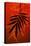 Bamboo Shade on Red II-Christine Zalewski-Stretched Canvas
