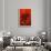 Bamboo Shade on Red II-Christine Zalewski-Framed Art Print displayed on a wall