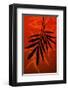 Bamboo Shade on Red II-Christine Zalewski-Framed Art Print