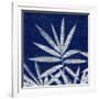 Bamboo Shibori-Meili Van Andel-Framed Art Print