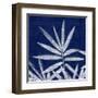 Bamboo Shibori-Meili Van Andel-Framed Art Print