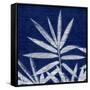 Bamboo Shibori-Meili Van Andel-Framed Stretched Canvas