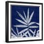 Bamboo Shibori-Meili Van Andel-Framed Art Print