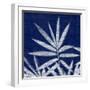 Bamboo Shibori-Meili Van Andel-Framed Art Print