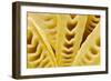 Bamboo Shoots (Close-Up)-Foodcollection-Framed Photographic Print