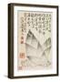 Bamboo Shoots, from an Album of Vegetables-Shou-min Pien-Framed Giclee Print