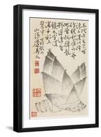 Bamboo Shoots, from an Album of Vegetables-Shou-min Pien-Framed Giclee Print