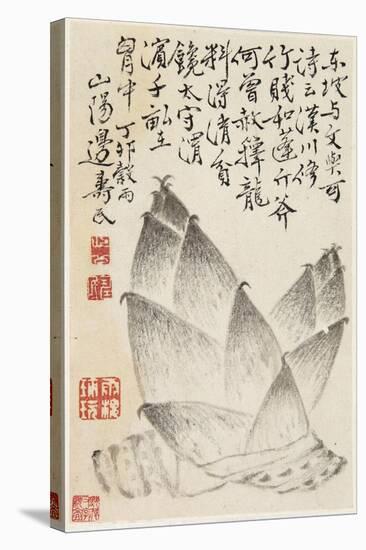 Bamboo Shoots, from an Album of Vegetables-Shou-min Pien-Stretched Canvas