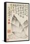 Bamboo Shoots, from an Album of Vegetables-Shou-min Pien-Framed Stretched Canvas