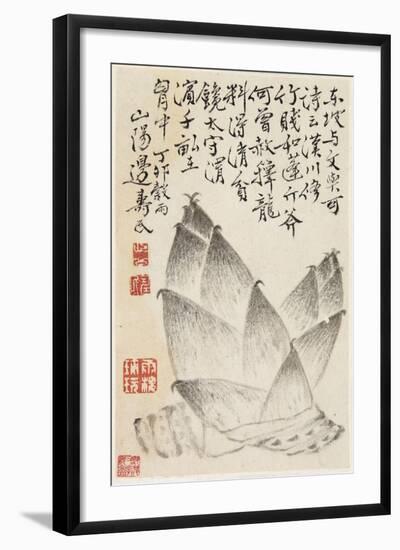 Bamboo Shoots, from an Album of Vegetables-Shou-min Pien-Framed Giclee Print