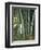 Bamboo Stems in the Peradeniya Botanical Gardens in Kandy, Sri Lanka-Sassoon Sybil-Framed Photographic Print