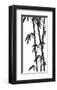 Bamboo Stems Ink Sketch-null-Framed Art Print