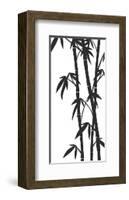 Bamboo Stems Ink Sketch-null-Framed Art Print