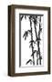 Bamboo Stems Ink Sketch-null-Framed Art Print