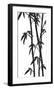 Bamboo Stems Ink Sketch-null-Framed Art Print