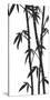 Bamboo Stems Ink Sketch-null-Stretched Canvas