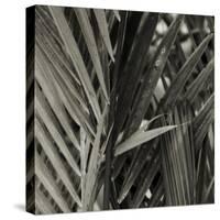 Bamboo Study I-Tang Ling-Stretched Canvas