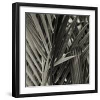 Bamboo Study I-Tang Ling-Framed Photographic Print