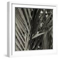 Bamboo Study I-Tang Ling-Framed Photographic Print