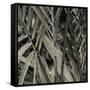 Bamboo Study II-Tang Ling-Framed Stretched Canvas