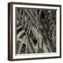 Bamboo Study II-Tang Ling-Framed Photographic Print