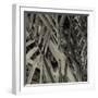 Bamboo Study II-Tang Ling-Framed Photographic Print