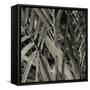 Bamboo Study II-Tang Ling-Framed Stretched Canvas