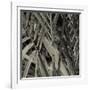 Bamboo Study II-Tang Ling-Framed Photographic Print