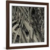 Bamboo Study II-Tang Ling-Framed Photographic Print