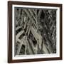 Bamboo Study II-Tang Ling-Framed Photographic Print