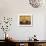 Bamboo Tea Room I-Krista Sewell-Giclee Print displayed on a wall