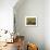 Bamboo Tea Room II-Krista Sewell-Giclee Print displayed on a wall