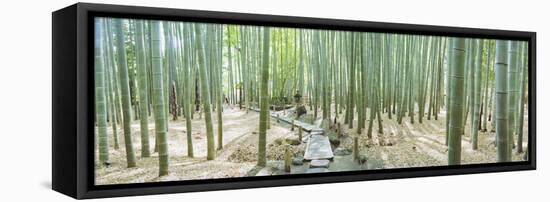 Bamboo Trees at a Temple, Hokokuji Temple, Kamakura, Kanagawa Prefecture, Kanto Region, Honshu, ...-null-Framed Stretched Canvas