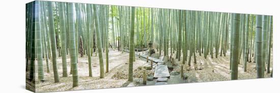 Bamboo Trees at a Temple, Hokokuji Temple, Kamakura, Kanagawa Prefecture, Kanto Region, Honshu, ...-null-Stretched Canvas