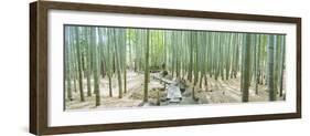 Bamboo Trees at a Temple, Hokokuji Temple, Kamakura, Kanagawa Prefecture, Kanto Region, Honshu, ...-null-Framed Photographic Print
