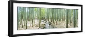 Bamboo Trees at a Temple, Hokokuji Temple, Kamakura, Kanagawa Prefecture, Kanto Region, Honshu, ...-null-Framed Photographic Print