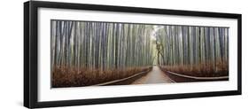 Bamboo Trees in a Forest, Arashiyama, Kyoto Prefecture, Japan-null-Framed Premium Photographic Print