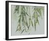 Bamboo Verde-Tania Bello-Framed Giclee Print